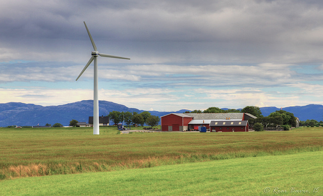 Windy farm, Ørlandet.