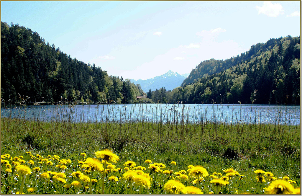 Frühling am Alatsee 2. ©UdoSm