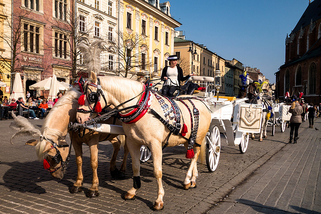 Kraków