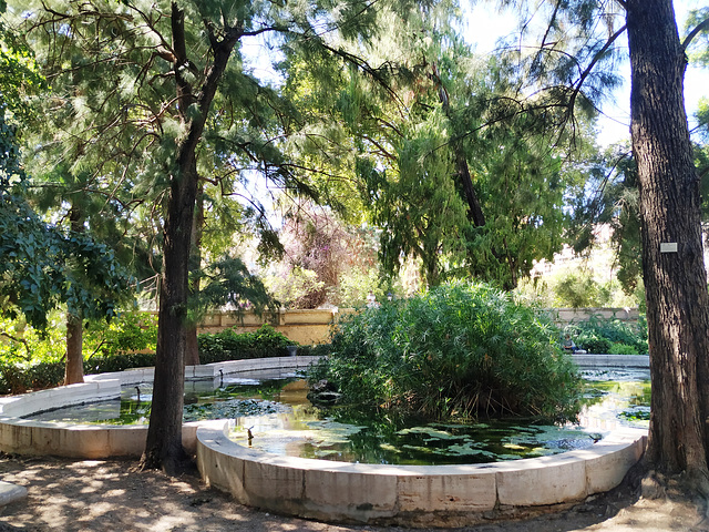 Valencia: jardines de Monforte, 12