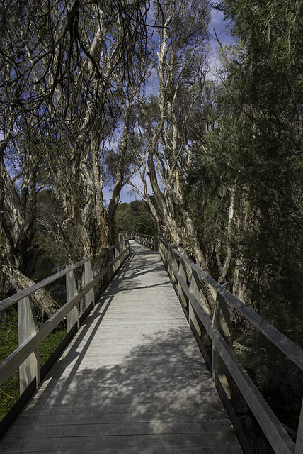 The Board walk