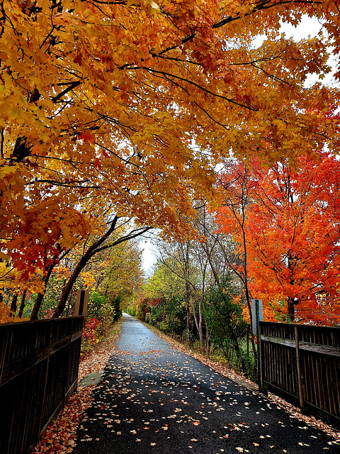 A rainy October day.