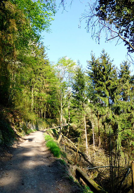 DE - Rech - Auf dem Weg nach Mayschoß