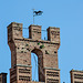 20160324 0498VRAw [R~I]  Siena, Toskana