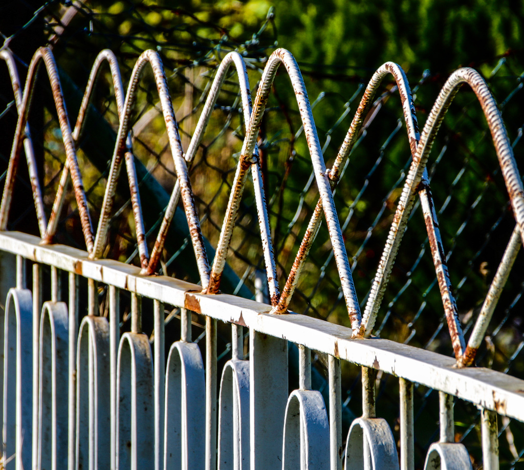 A Fence for Friday