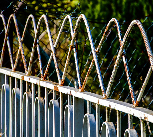 A Fence for Friday
