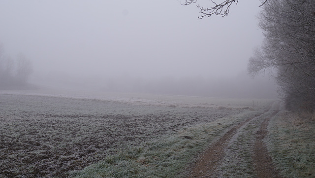What a Difference a Day Makes II