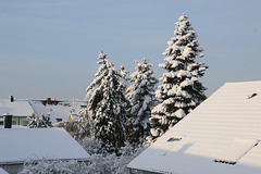 Balkonblick mit Überraschung