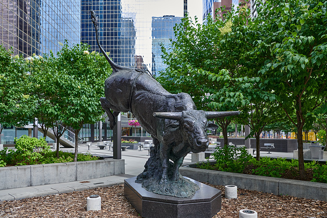 OUTLAW - Calgary Stampede Legend