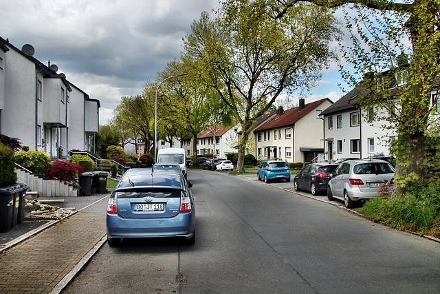 Alte Werner Straße (Bochum-Harpen) / 27.04.2024