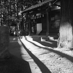 Shrine in the woods