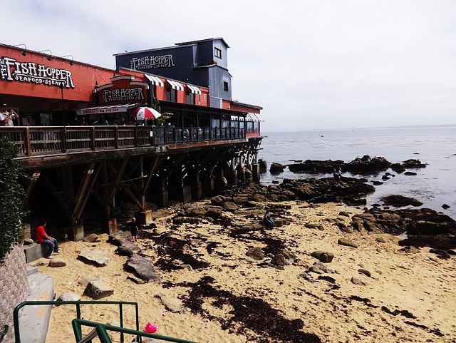 09 MONTEREY-La plage ou j'ai recolté du sable