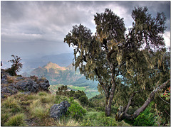 Simien Mountains, Ethiopia