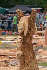 The Carrbridge World Chainsaw Carving Championship 2018