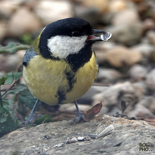 Le portrait du jour, 06/01/2022