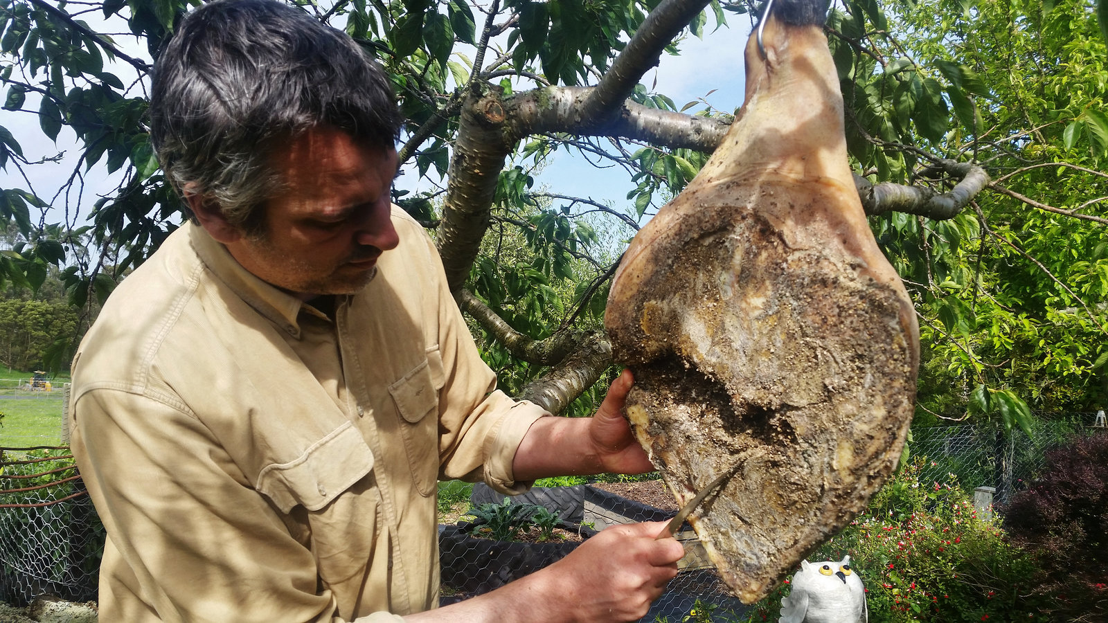 cleaning the prosciutto