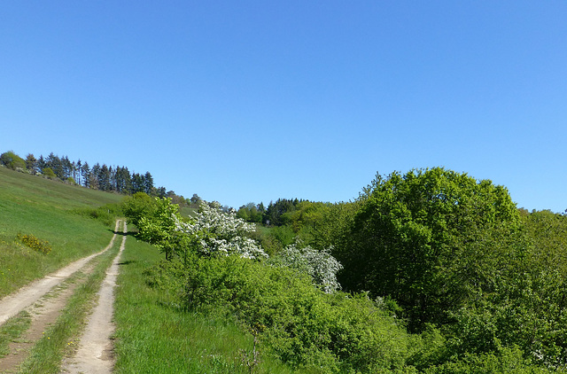 DE - Volkesfeld - Auf dem Traumpfad Heidehimmel