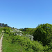 DE - Volkesfeld - Auf dem Traumpfad Heidehimmel