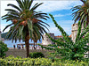 Dubrovnik: tanto verde  e azzurro...