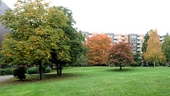 Herbst bei uns im Hof