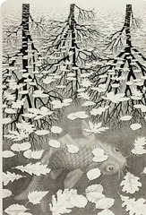 Escher's  Three worlds. Lithograph
