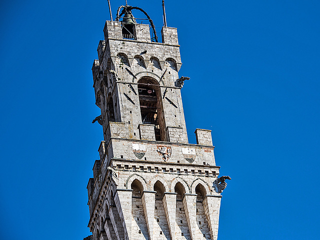 20160324 0500VRAw [R~I]  Siena, Toskana