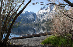 June Lake - Silver Lake spring (#0488)