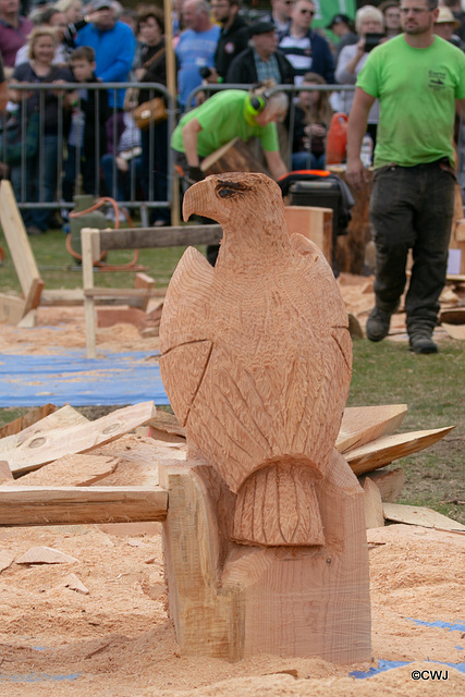 The Carrbridge World Chainsaw Carving Championship 2018