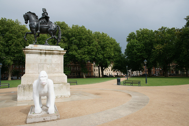 Gorilla Sculpture In Queen Square