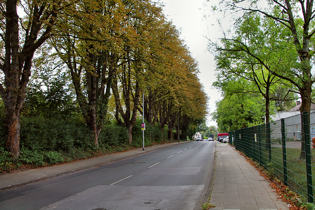 Nöggerathstraße (Essen-Altendorf) / 30.08.2020