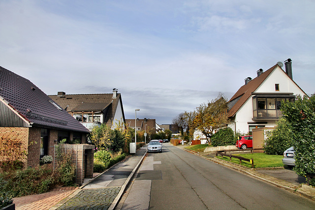 Brunsbergweg (Witten-Heven) / 6.11.2021