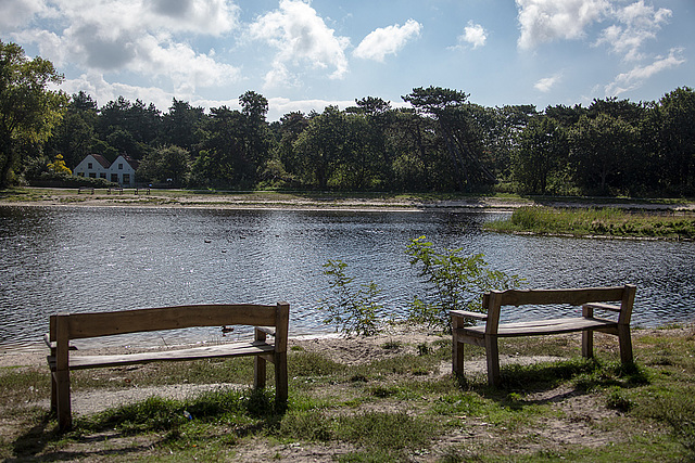 20140911 5146VRAw [NL]  Terschelling