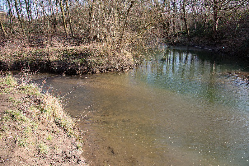 20160216 0060VRAw [D~LIP] Salzemündung, Bega (Alter Arm), Bega-Aue, Bad Salzuflen