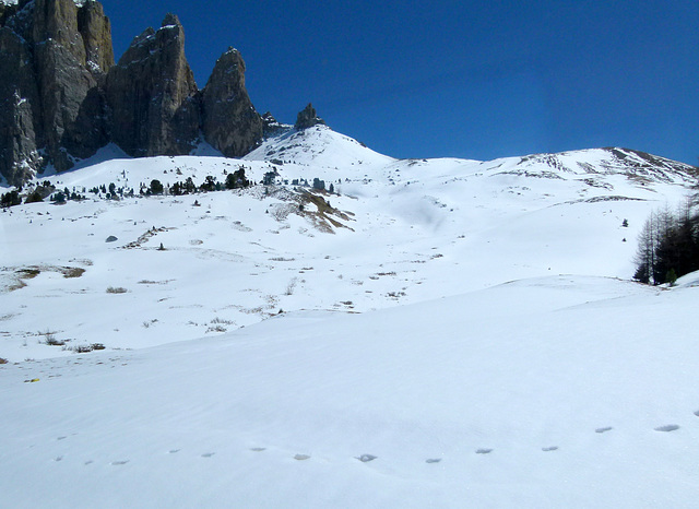 Spuren im Schnee