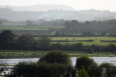 View south over the Somerset Levels