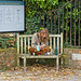 Lunch Time Al Fresco