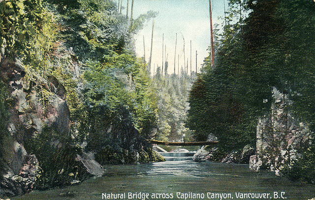 6050. Natural Bridge across Capilano Canyon, Vancouver, B.C.