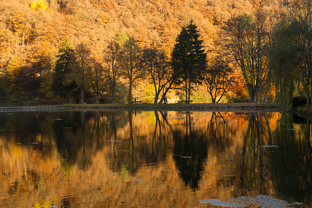 Blankenheim - Schwanenweiher