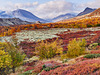 Rondane Nasjonal Park (Norway)