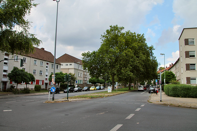 Hirtsieferstraße (Essen-Altendorf) / 30.08.2020