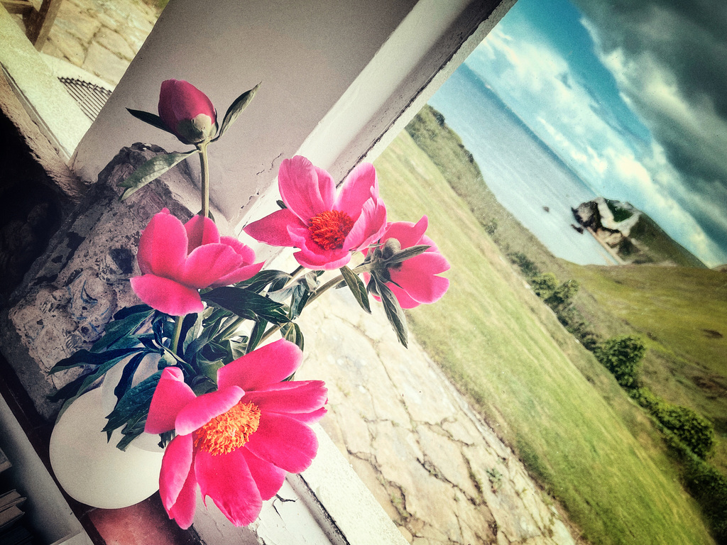 window sill peony