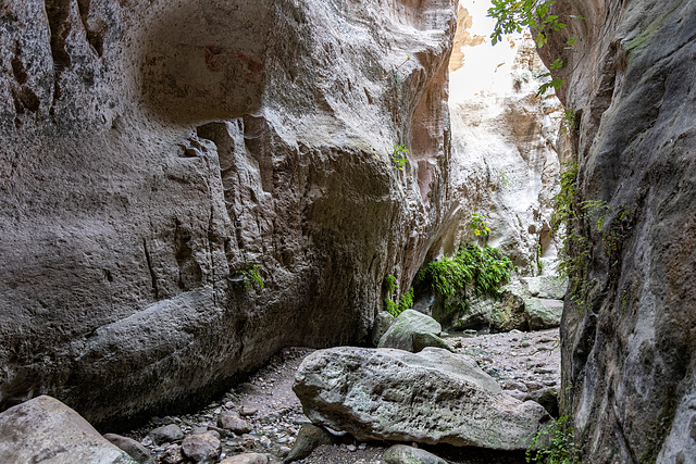 ipernity: Cyprus, Avakas Gorge - by Pilago