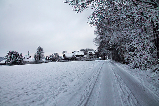 Mettberg (Sprockhövel-Herzkamp) / 15.01.2024