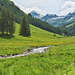 Sommerwiese im Sölktal