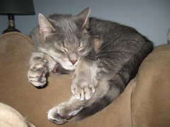 IMG 0468