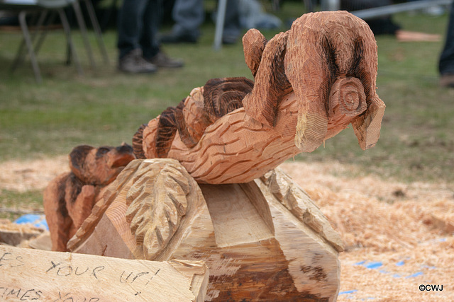 The Carrbridge World Chainsaw Carving Championship 2018