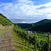 DE - Rech - On the red wine trail