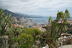 View From The Jardin Exotique
