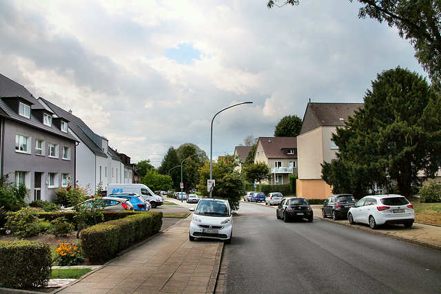 Nöggerathstraße (Essen-Altendorf) / 30.08.2020