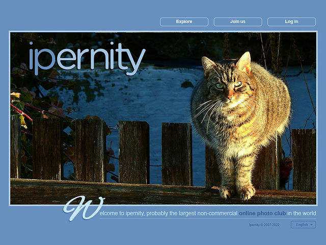ipernity homepage with #1420